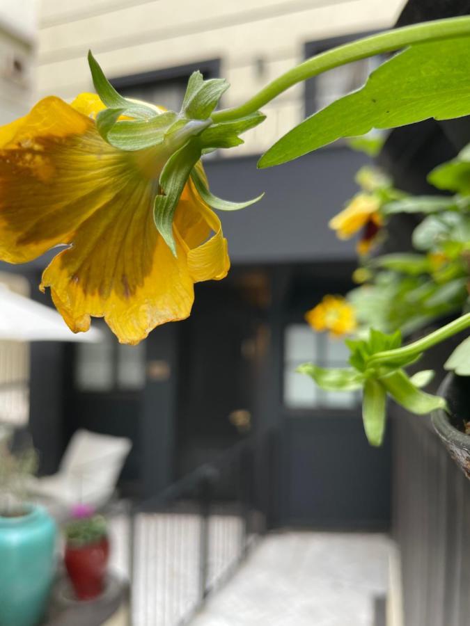 Villa Brown Tel-Aviv, A Member Of Brown Hotels Ngoại thất bức ảnh